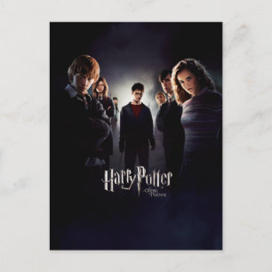 Order of the Phoenix - French 1 Postkarte