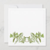 OREGANO 5,25" Square Flat Card Karte (Rückseite)