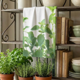 Oregano Herb Grün und Weiße Küche Handtuch