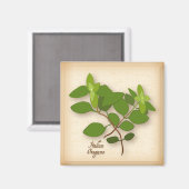 Oregano Herb Magnet (Vorderseite/Rückseite)