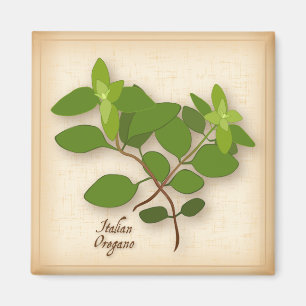 Oregano Herb Magnet