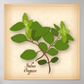 Oregano Herb Poster (Vorne)