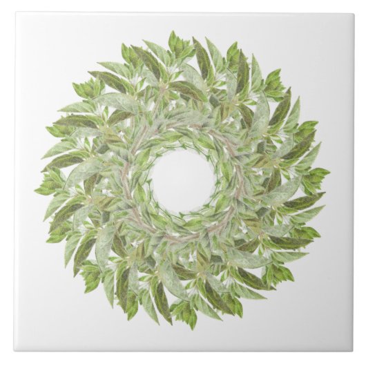 OREGANO WREATH 6" Keramik Tile Fliese (Vorderseite)