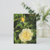 Oregold Yellow Roses Postkarte (Stehend Vorderseite)