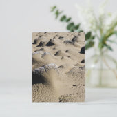 Oregon Beach Postkarte (Stehend Vorderseite)