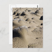 Oregon Beach Postkarte (Vorne/Hinten)