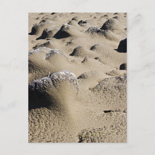 Oregon Beach Postkarte (Vorderseite)