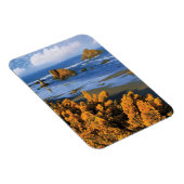 Oregon Beach View in Bandon Magnet (Rechte Seite)