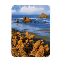 Oregon Beach View in Bandon