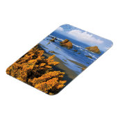 Oregon Beach View in Bandon Magnet (Linke Seite)