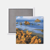 Oregon Beach View in Bandon Magnet (Vorderseite/Rückseite)