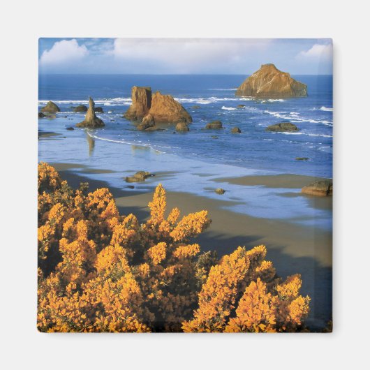 Oregon Beach View in Bandon Magnet (Vorne)