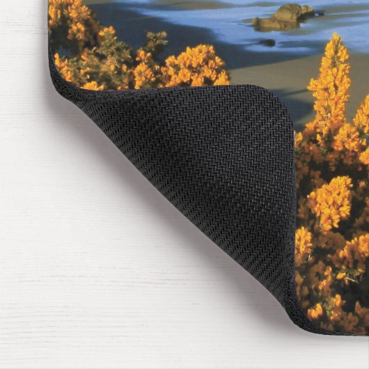 Oregon Beach View in Bandon Mousepad (Ecke)