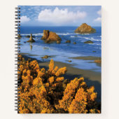 Oregon Beach View in Bandon Notizblock (Vorderseite)