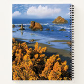 Oregon Beach View in Bandon Notizblock (Rückseite)