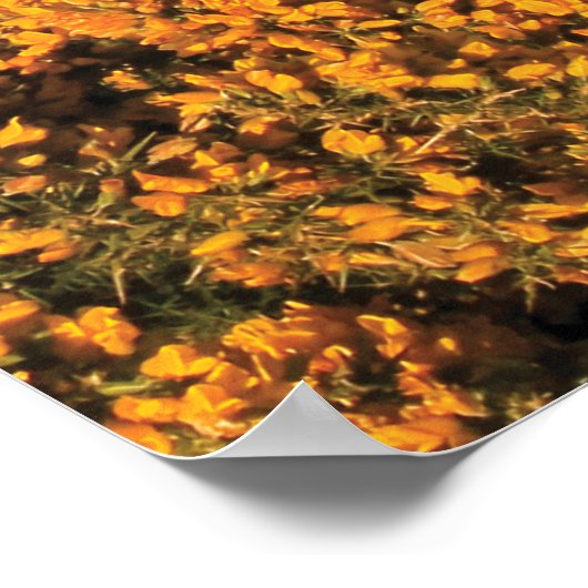 Oregon Beach View in Bandon Poster (Ecke)