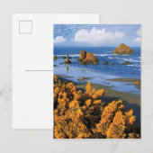 Oregon Beach View in Bandon Postkarte (Vorne/Hinten)