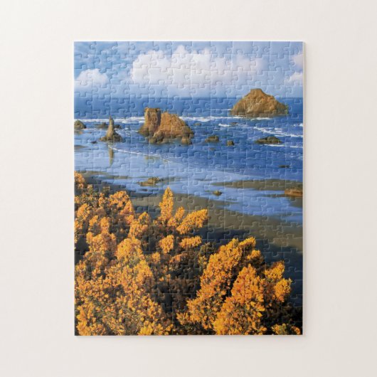 Oregon Beach View in Bandon Puzzle (Vertikal)
