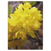 Oregon Blume Gelbe Wildblumen Klemmbrett (Rückseite)