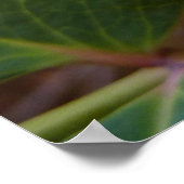 Oregon Blume Gelbe Wildblumen Poster (Ecke)