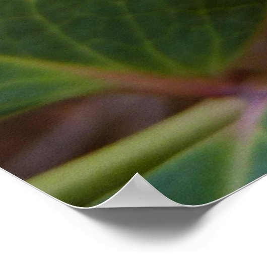 Oregon Blume Gelbe Wildblumen Poster (Ecke)