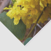 Oregon Blume Gelbe Wildblumen Seidenpapier (Ausschnitt)