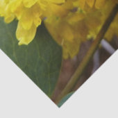 Oregon Blume Gelbe Wildblumen Seidenpapier (Detail)