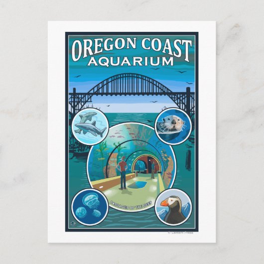 Oregon Coast Aquarium Postkarte (Vorderseite)