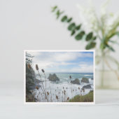 Oregon Coast Arch Rock State Park Brookings Beach Postkarte (Stehend Vorderseite)