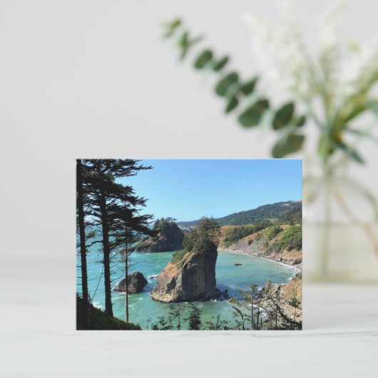 Oregon Coast Boardman Landschaftliche Aussicht Postkarte (Stehend Vorderseite)
