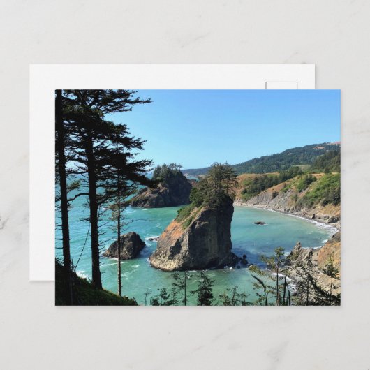 Oregon Coast Boardman Landschaftliche Aussicht Postkarte (Vorne/Hinten)