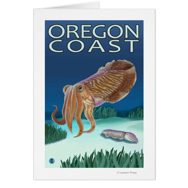 Oregon Coast Cuttlefish (Vorne)