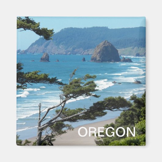 Oregon Coast Landschaftlich Seascape Magnet (Vorne)