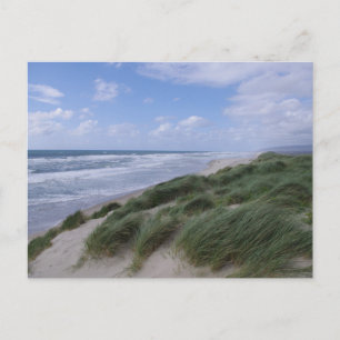 Oregon Coast Postcard Postkarte