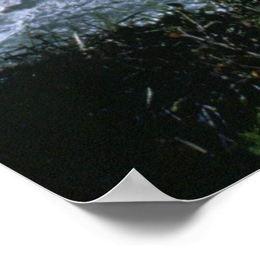 Oregon Coast Poster (Ecke)