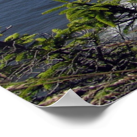 Oregon Coast Poster (Ecke)