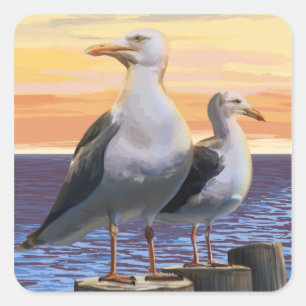 Oregon Coast Sea Gulls Quadratischer Aufkleber