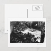 Oregon Coast Sea Lion Caves Räume Sicht Postkarte (Vorne/Hinten)