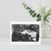 Oregon Coast Sea Lion Caves Räume Sicht Postkarte (Stehend Vorderseite)