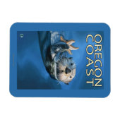 Oregon Coast Sea Otter Magnet (Horizontal)