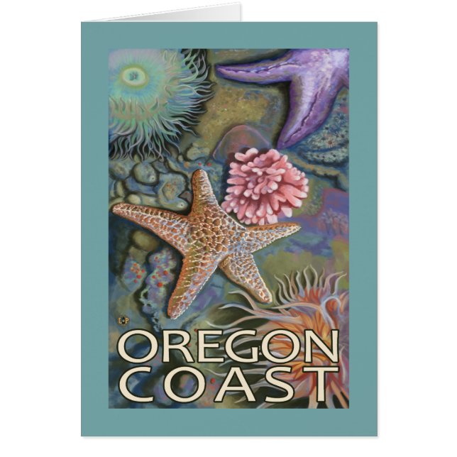 Oregon Coast Tidepool (Vorne)