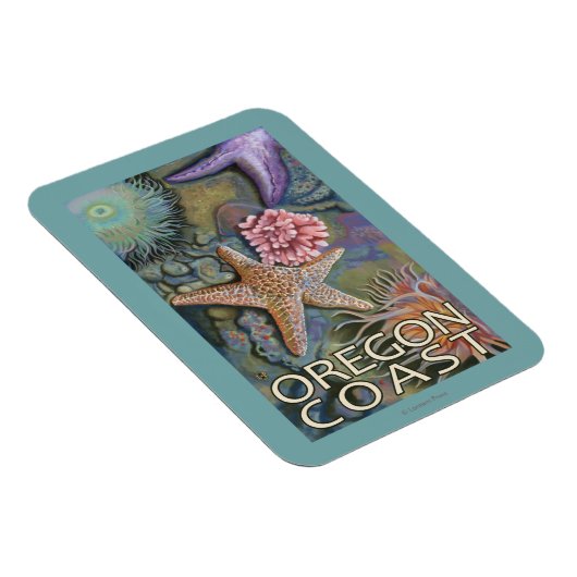 Oregon Coast Tidepool Magnet (Rechte Seite)