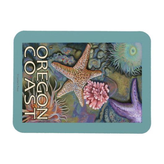 Oregon Coast Tidepool Magnet (Horizontal)