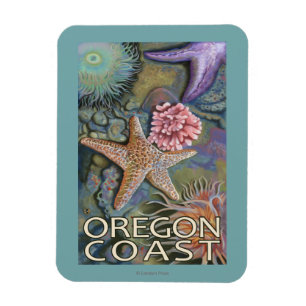 Oregon Coast Tidepool Magnet