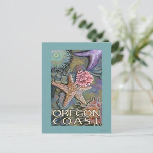 Oregon Coast Tidepool Postkarte (Stehend Vorderseite)