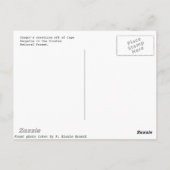 Oregon Coastline Postkarte (Rückseite)