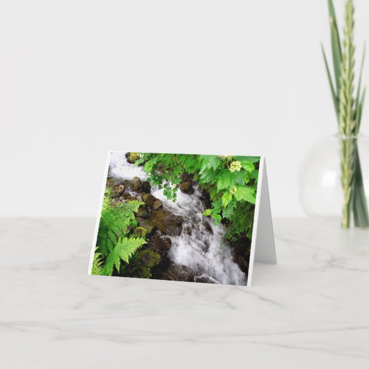 Oregon Creek Dankeskarte (Vorderseite)