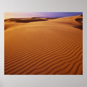 Oregon Dunes National Recreation Area, Oregon bei Poster