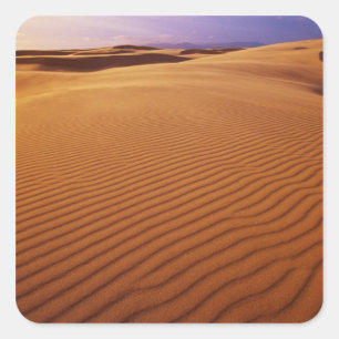 Oregon Dunes National Recreation Area, Oregon bei Quadratischer Aufkleber