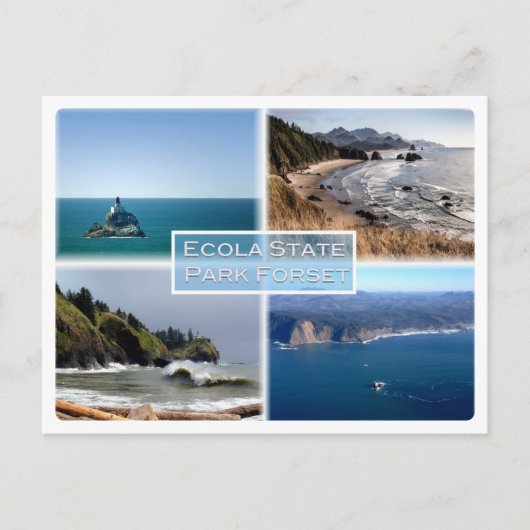Oregon - Ecola Staat Park Forset - Postkarte (Vorderseite)